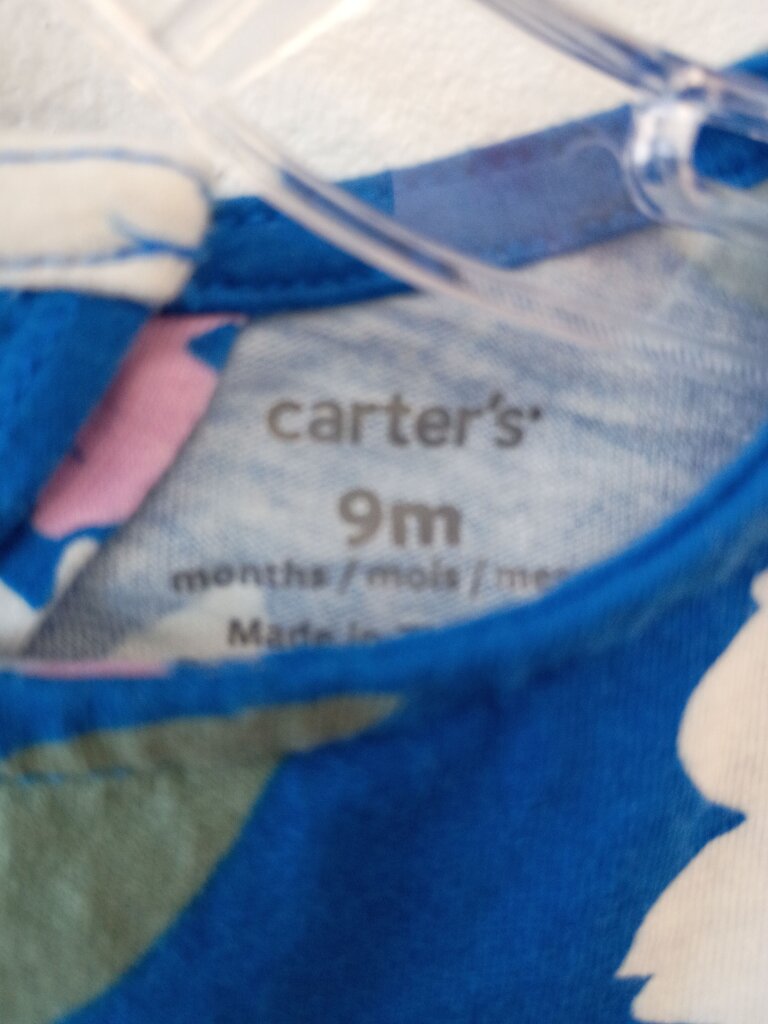 Carter's Floral Dress 9M