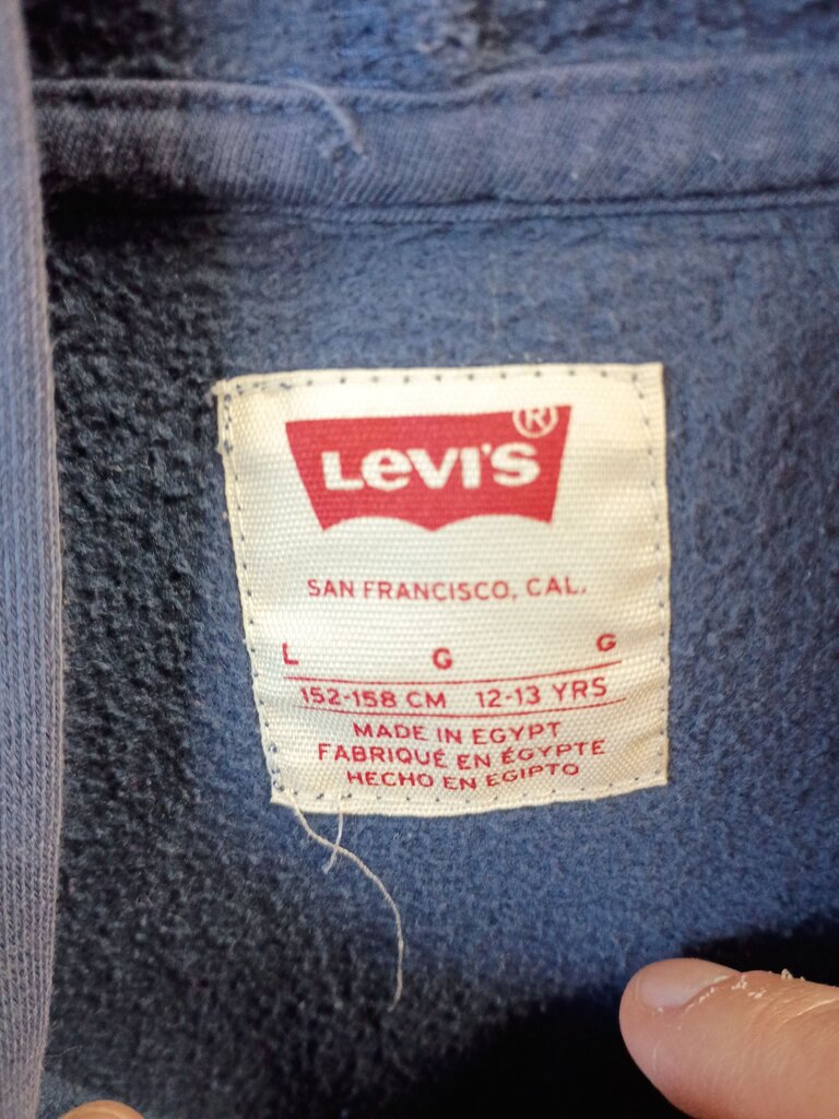 Levi's Boys' Hoodie Sweatshirt