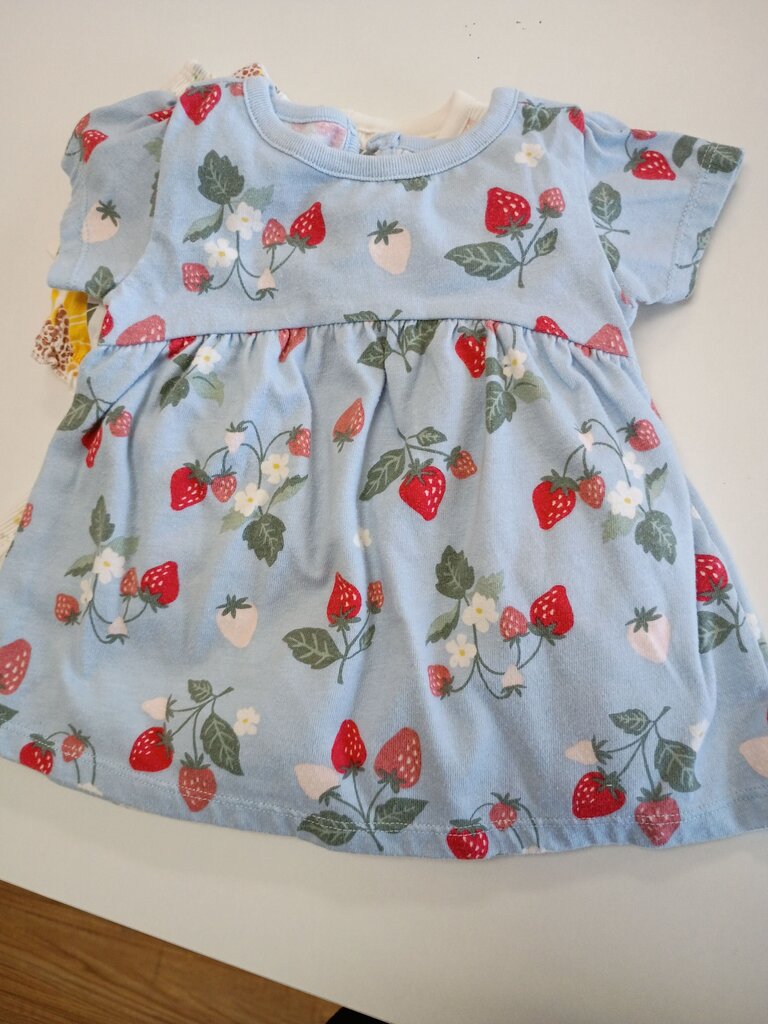 Garanimals Baby Dress with Strawberry Print