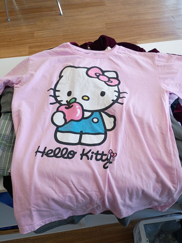 Hello Kitty Graphic T-Shirt