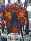 Fire Dragon Hoodie