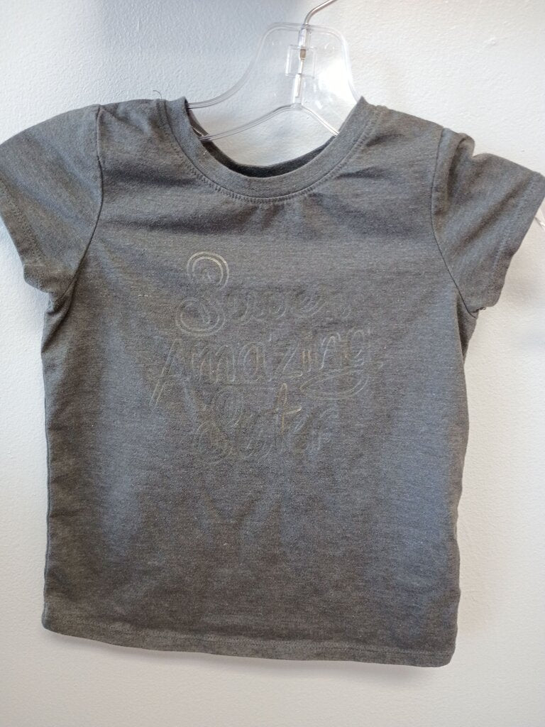 Super Amazing Sister Gray T-Shirt