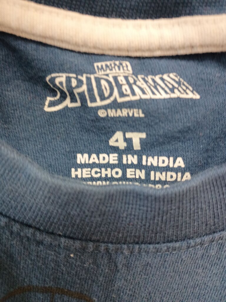 Spiderman Graphic T-Shirt for Kids