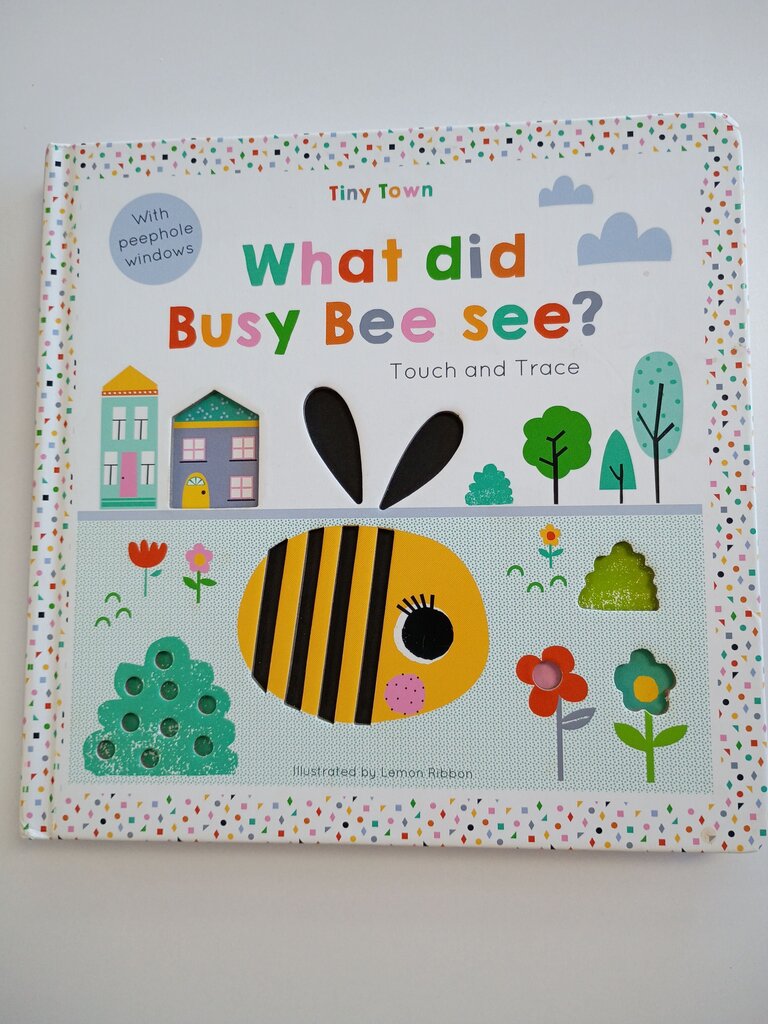 What Did Busy Bee See? Touch and Trace Book