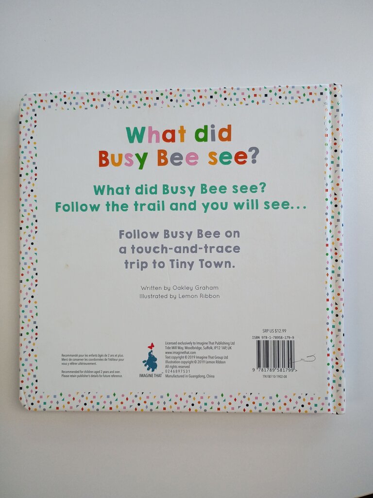 What Did Busy Bee See? Touch and Trace Book