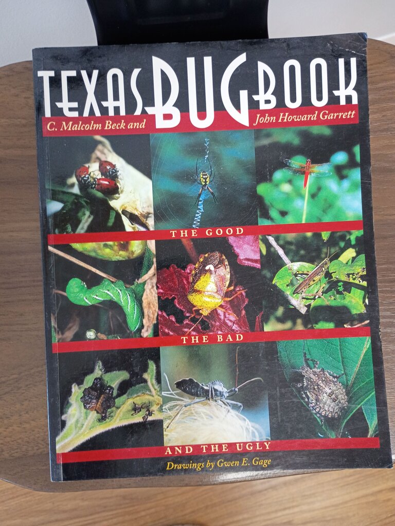Texas Bug Book