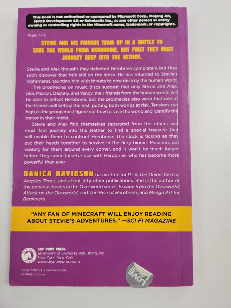 Down Into The Nether: An Unofficial Minecraft Adventure