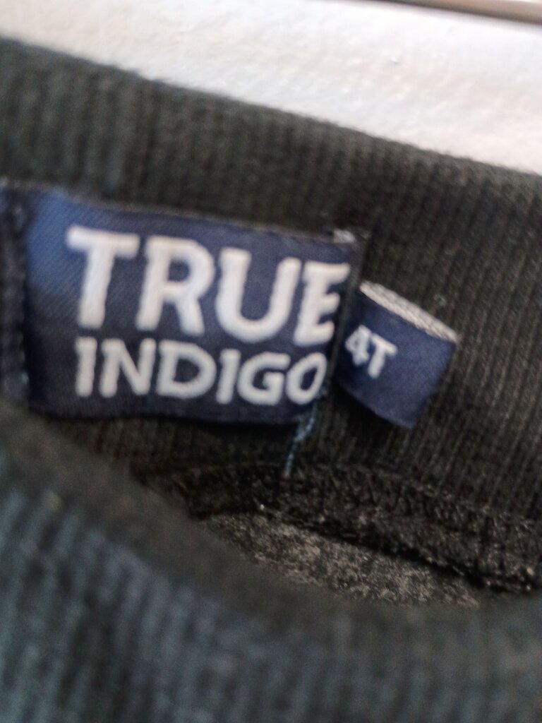 True Indigo Boys Sweatpants Size 4T