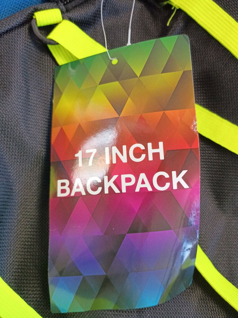 17 Inch Blue and Black Backpack