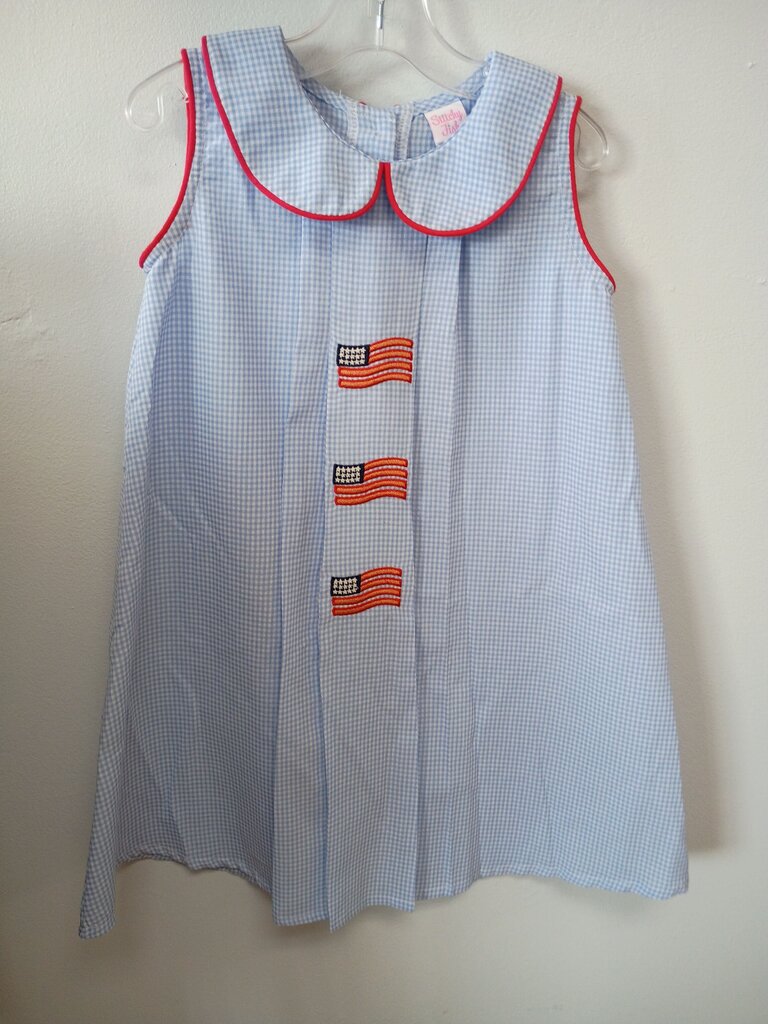 Stitchy Fish Blue Gingham Dress with American Flag Embroidery