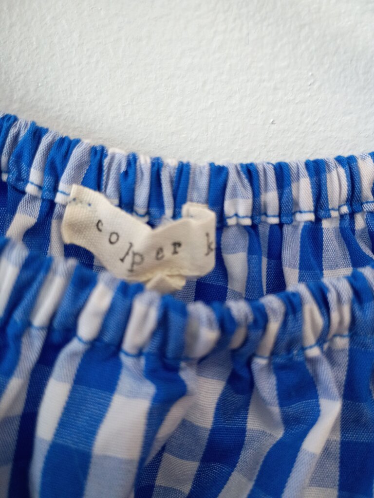 Blue and White Gingham Smocked Top